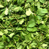 Northwest Alder Leaf